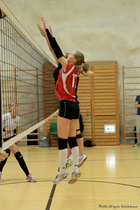 Helsinki Volley